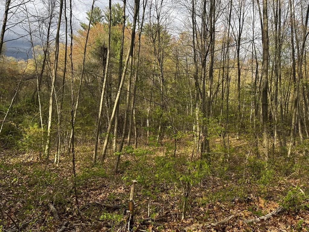 Photo of 27 Pleasant St. Lot 1