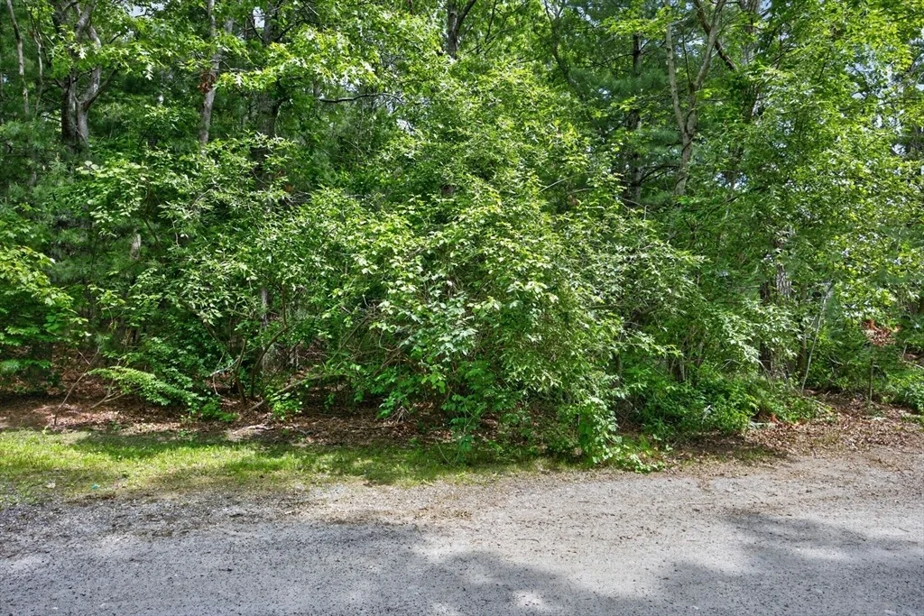 Photo of 20 Hirsch