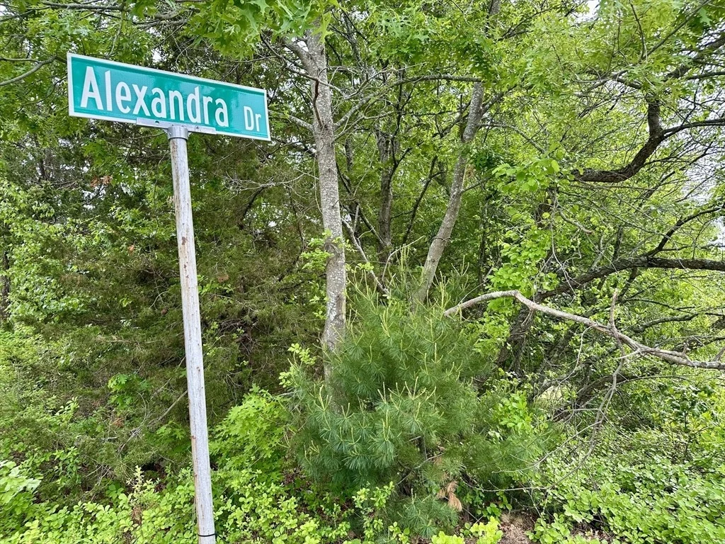 Photo of 12 Alexandra Dr