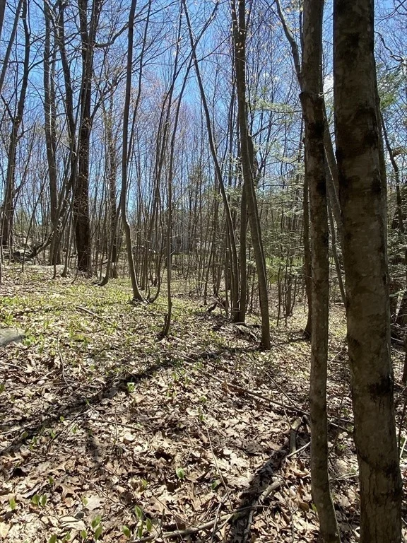 Photo of 117 Munsing Ridge