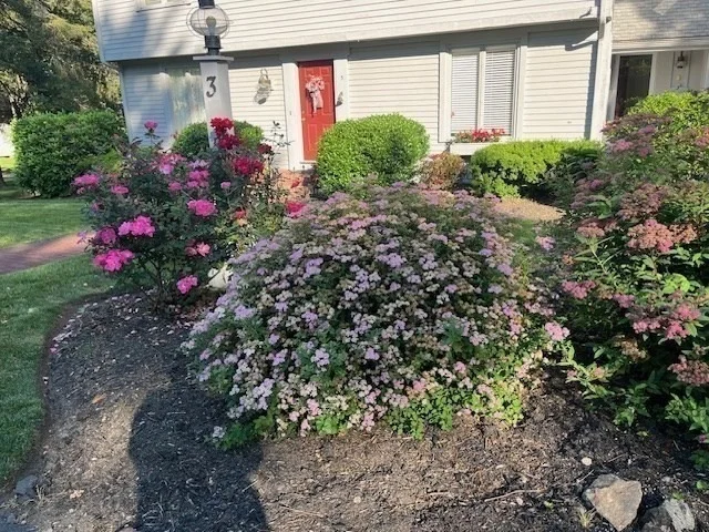 Photo of 3 Willard Ln