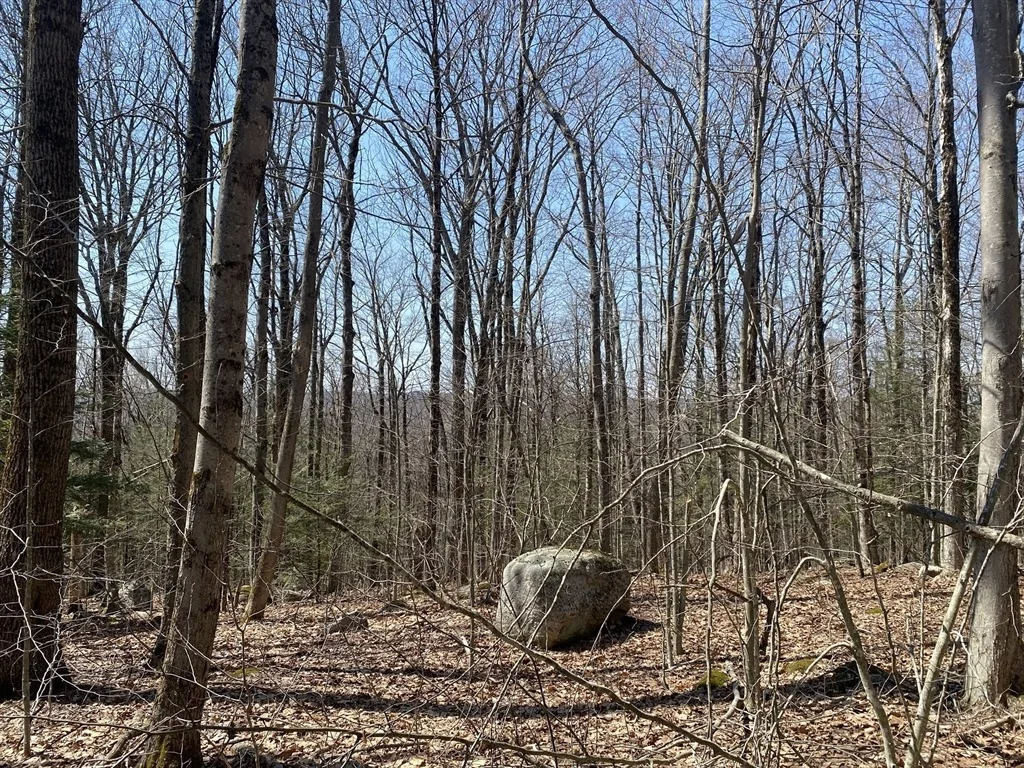Photo of Lot 15 Colebrook River Rd