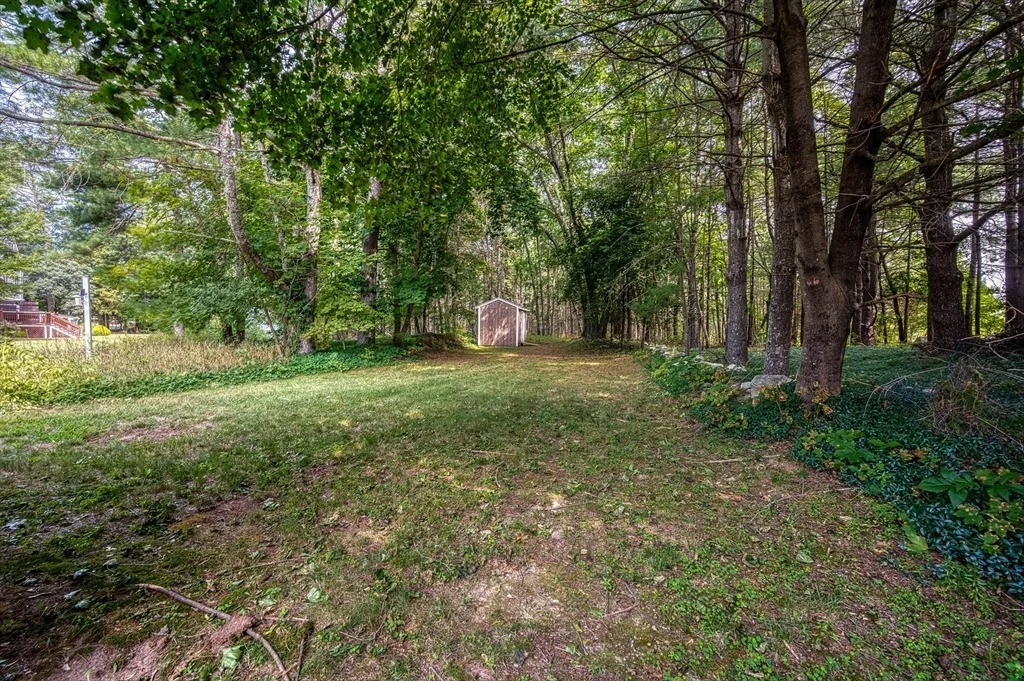 Photo of 85 Lincoln Rd