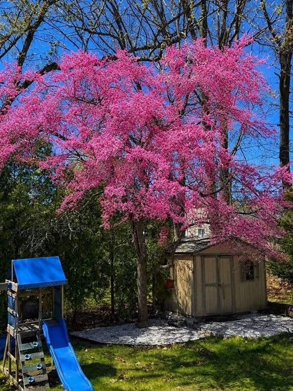 Photo of 6 Anderson Avenue