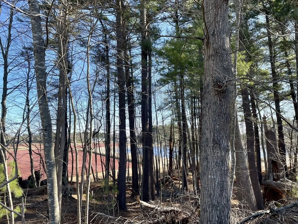Photo of 5 Terry Lane