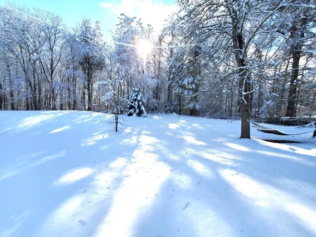 Photo of 5 Elm St
