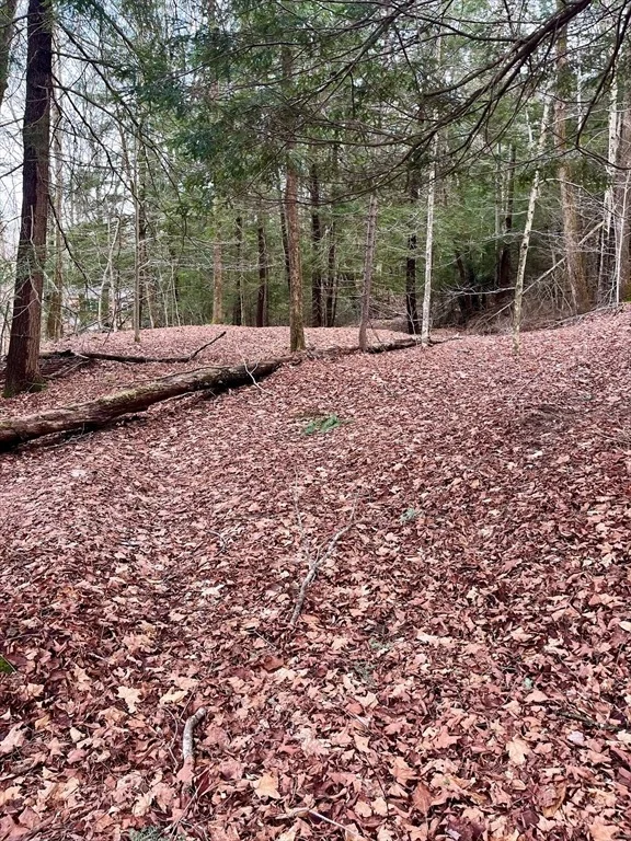 Photo of 0 Parish Road