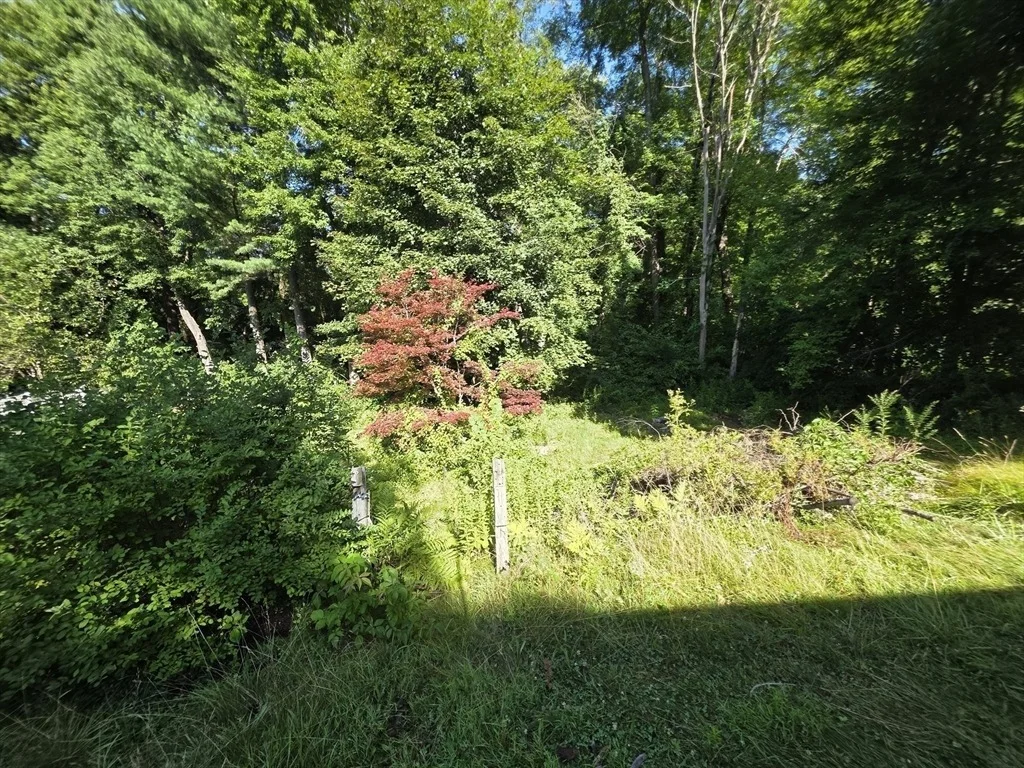 Photo of 20 Deborah St