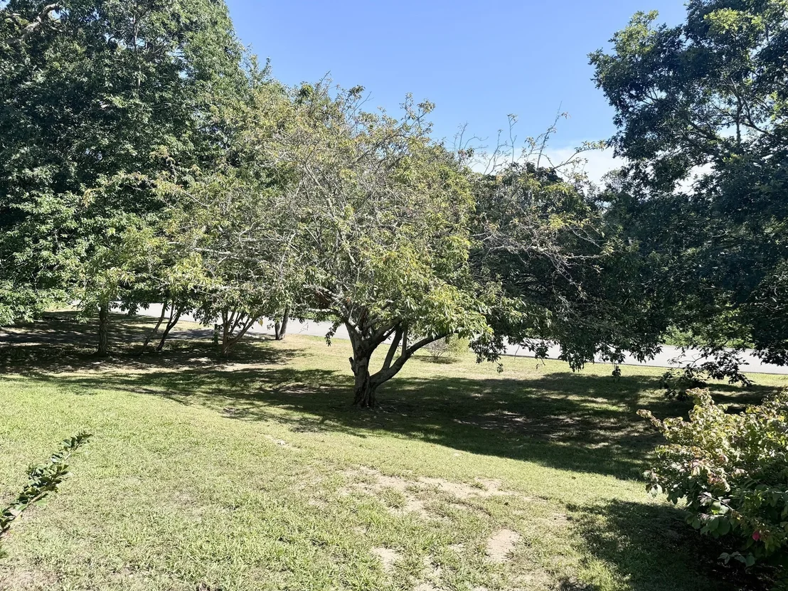 Photo of 42 Vineyard Ave