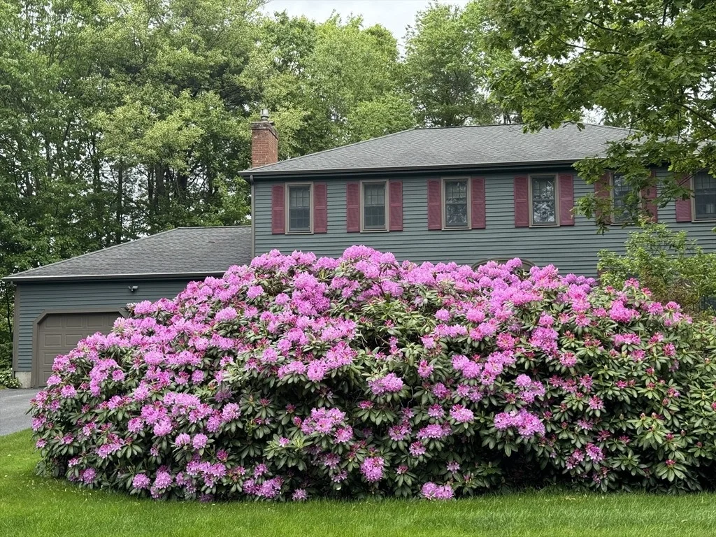 Photo of 3 Sherbrooke Dr
