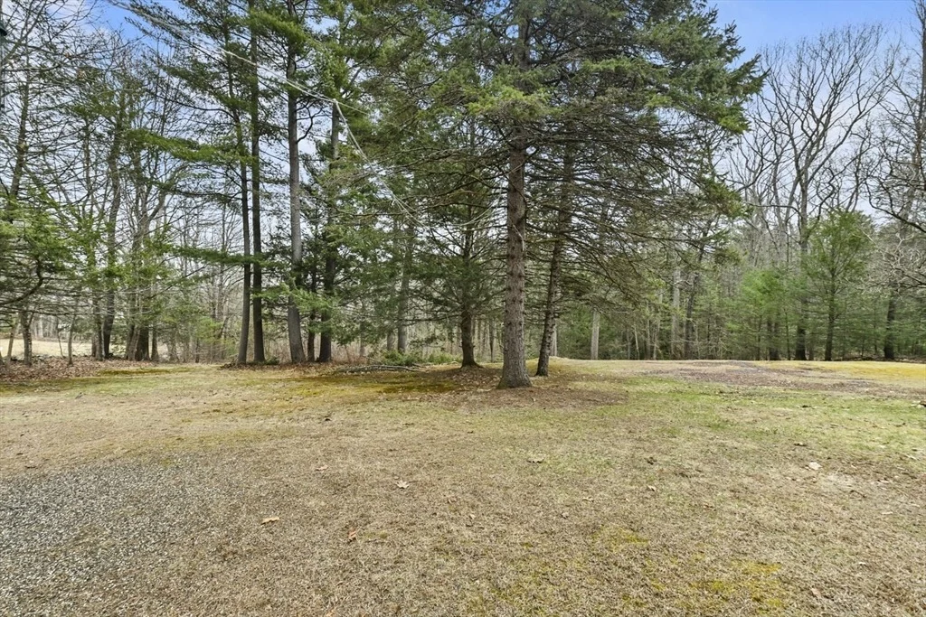 Photo of 36 Osgood Rd