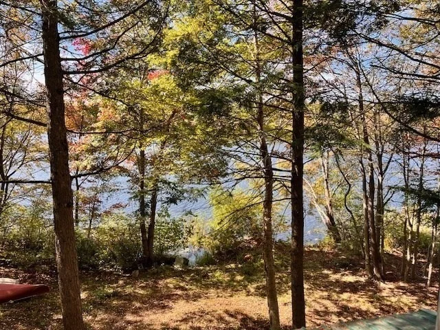 Photo of 115 Aberdeen Rd