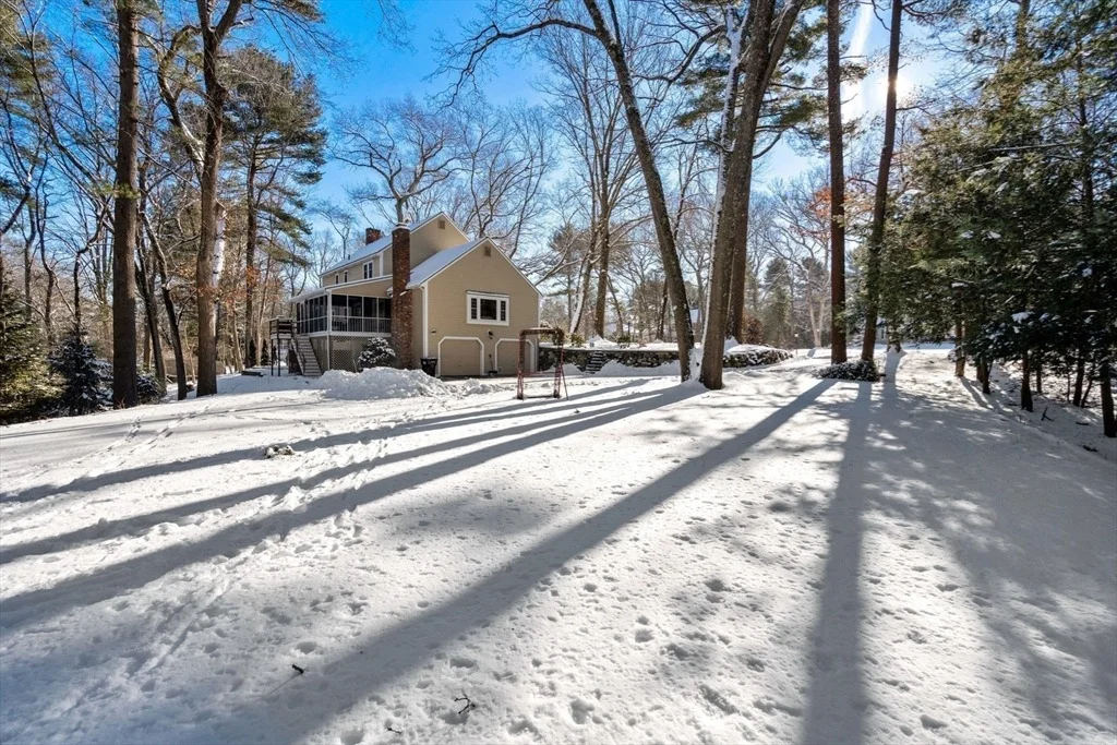 Photo of 40 Shadow Oak
