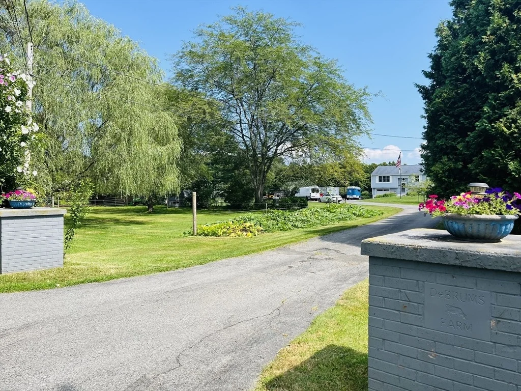 Photo of 115 Spring Street