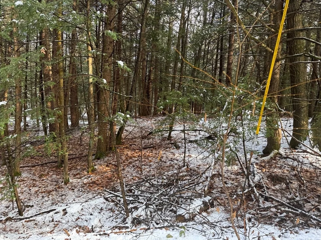 Photo of Lot 10 Christian Cir