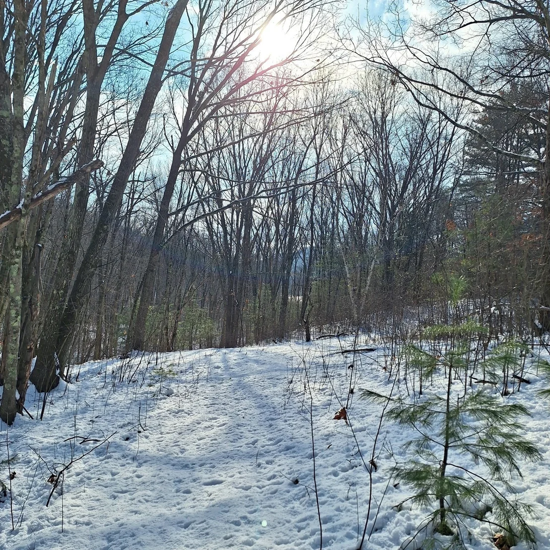 Photo of Lot 4 Mountain Rd