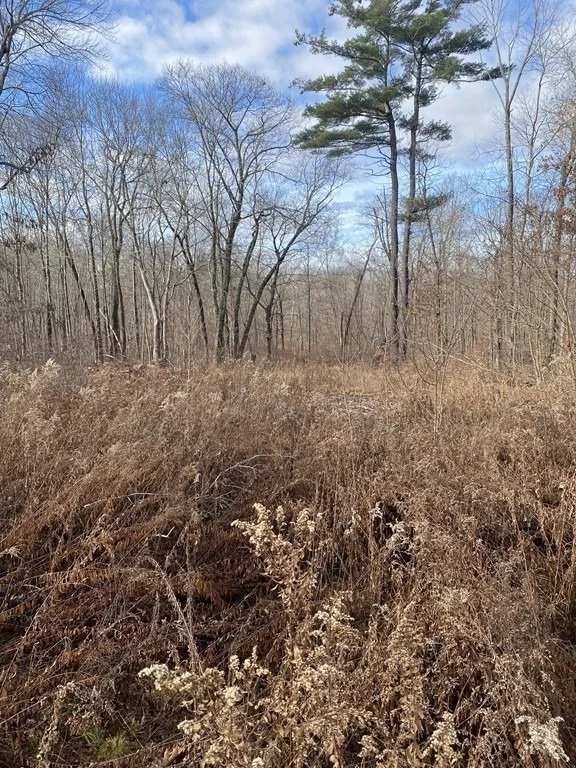 Photo of Lot 169-22 Beebe Rd