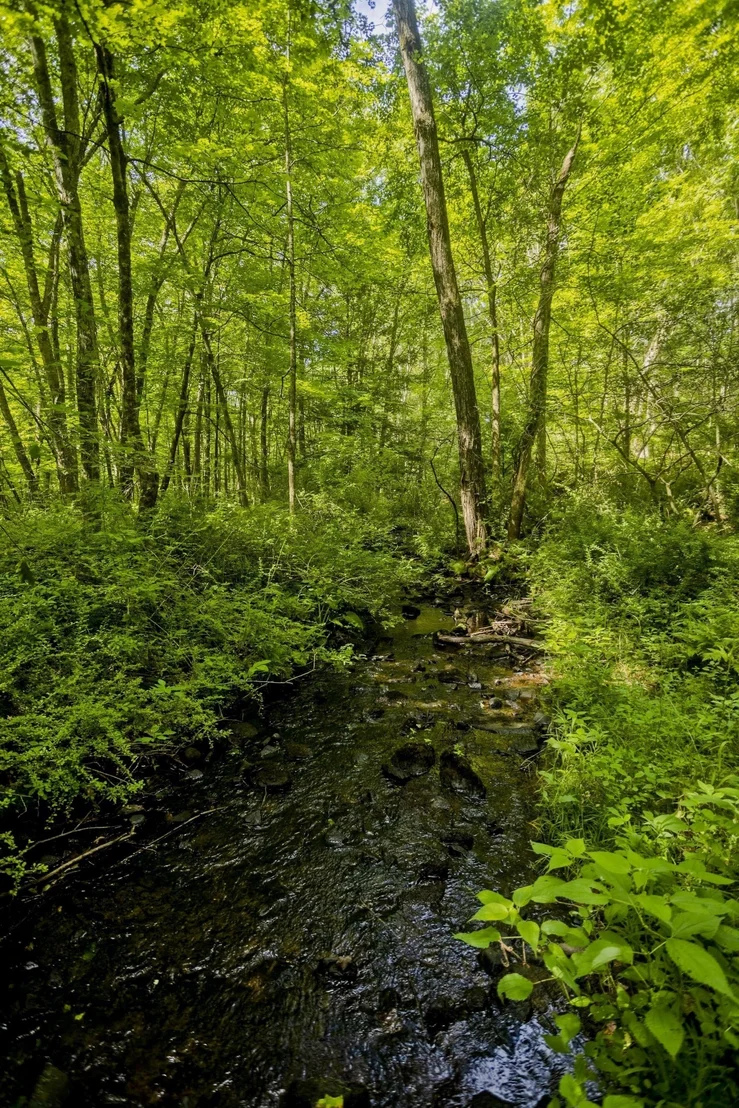 Photo of Lot 4 Mountain Rd