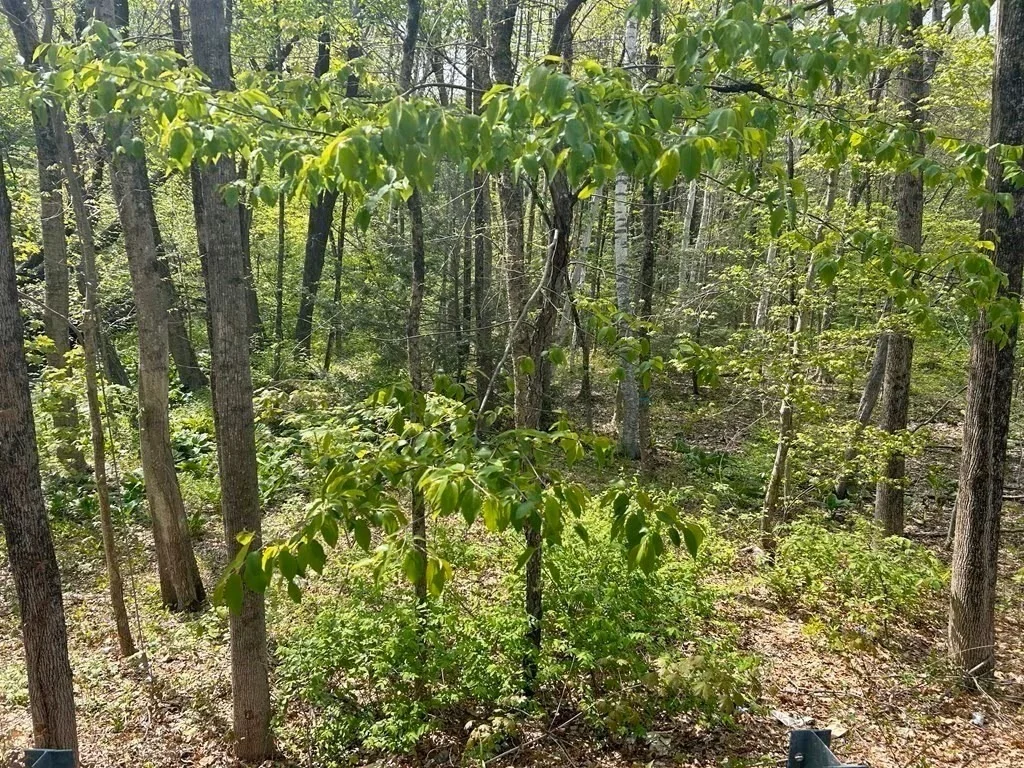 Photo of 45 Fox Hill Rd