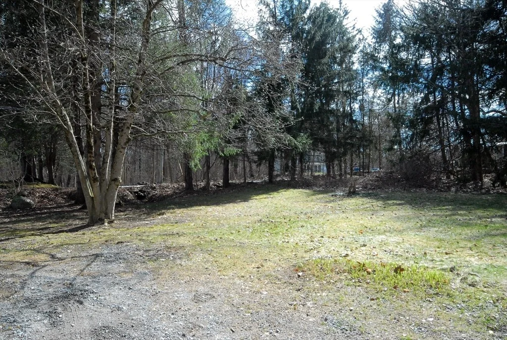 Photo of 41 Liberty Street
