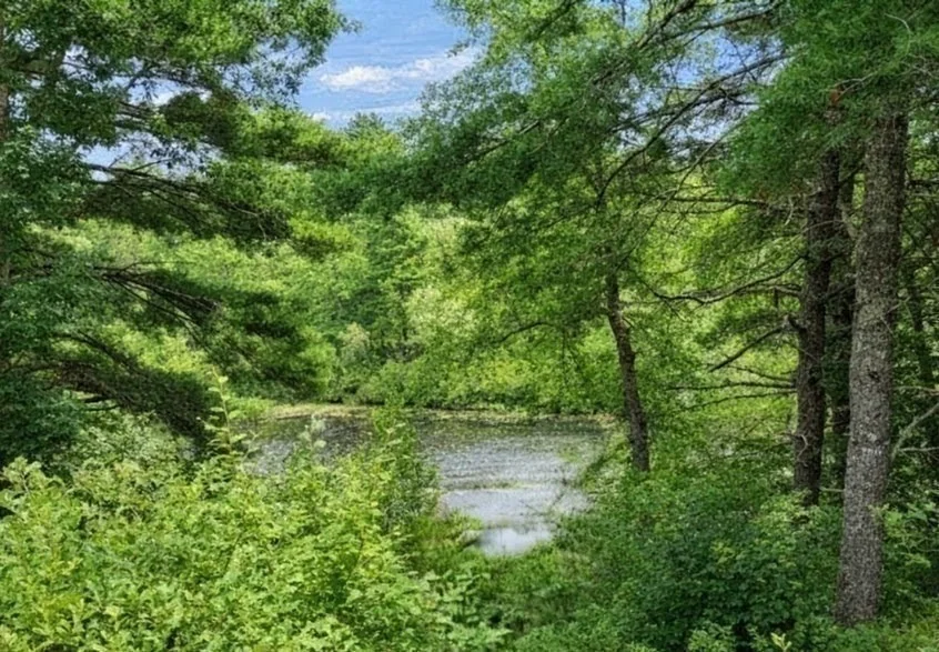 Photo of 10 Pond Edge Trl