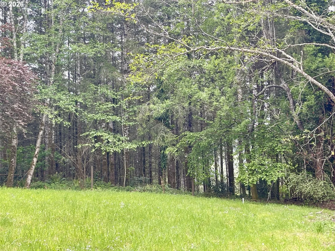 Photo of 93524 EASY LN