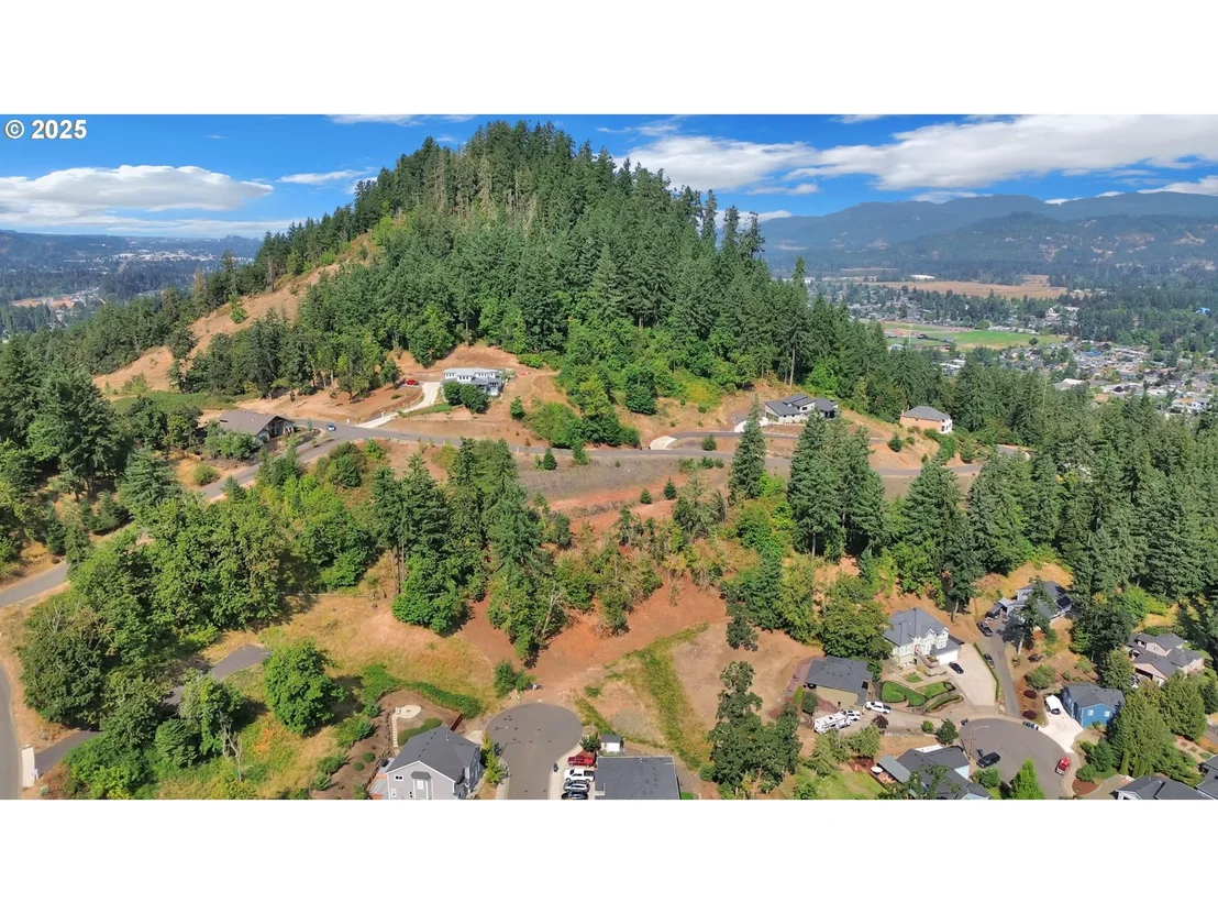 Photo of Forest Ridge