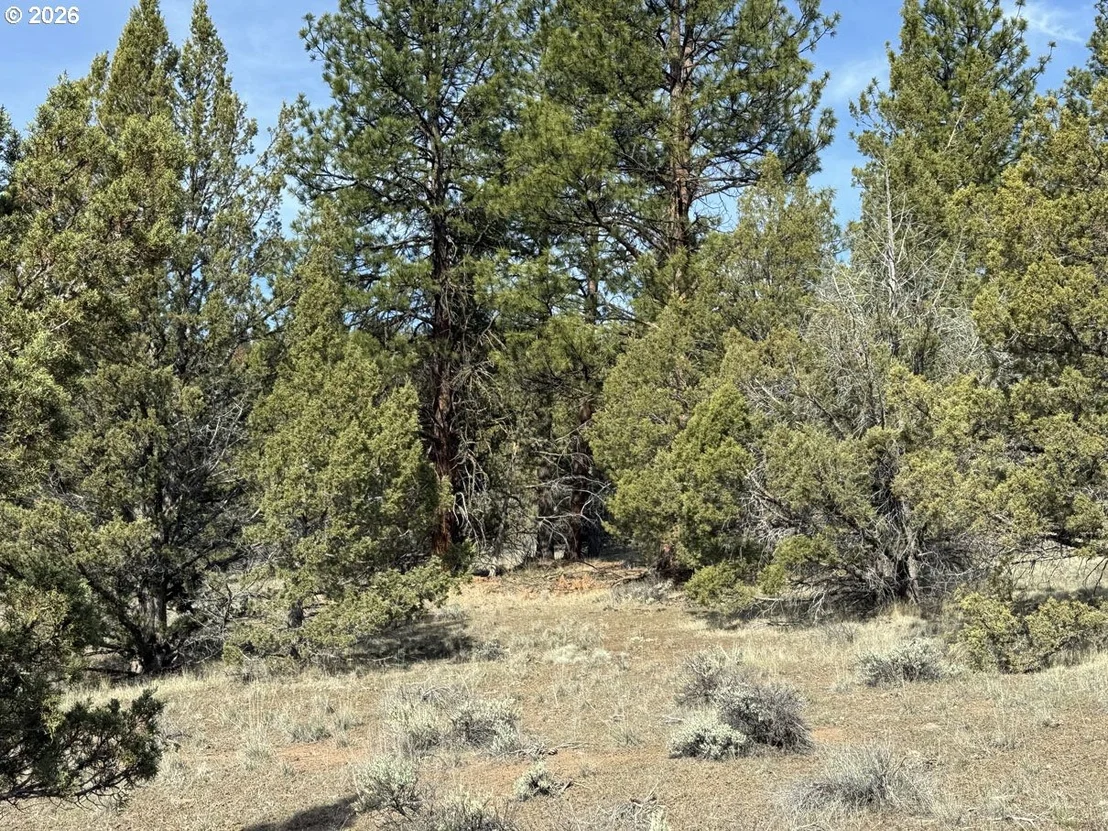 Photo of Unit 1100 at Yellow Jacket Spring RD