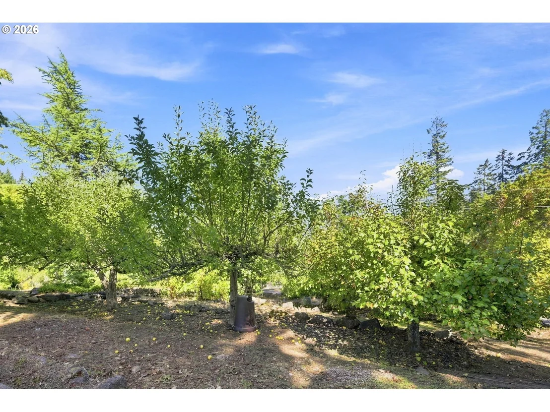 Photo of 87188 GREEN HILL RD