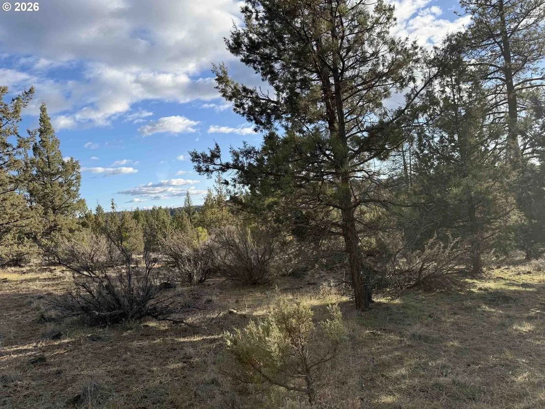 Photo of Unit 35 at Canvasback DR