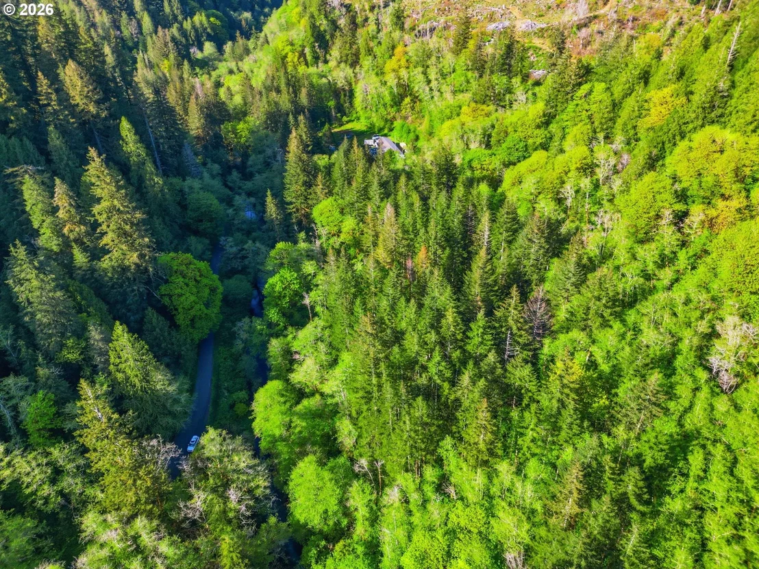 Photo of Upper North Fork RD