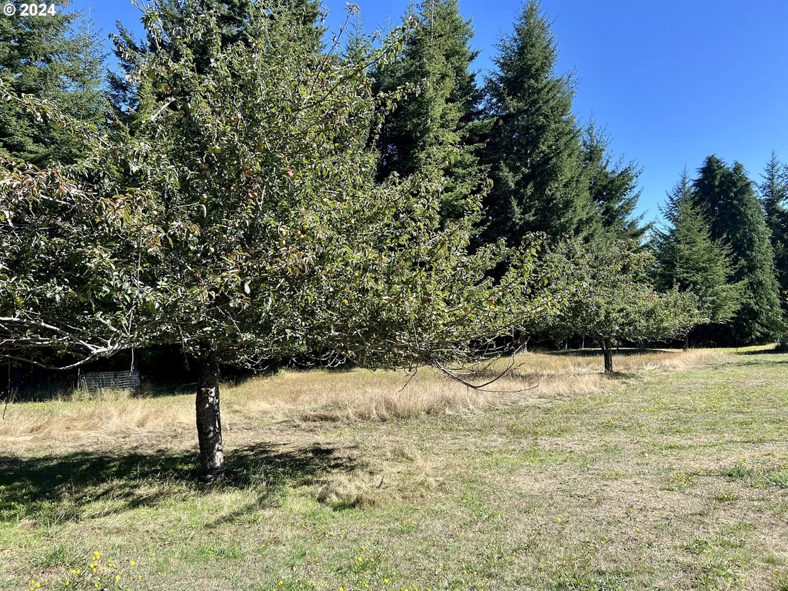 Photo of 54303 MORRISON RD