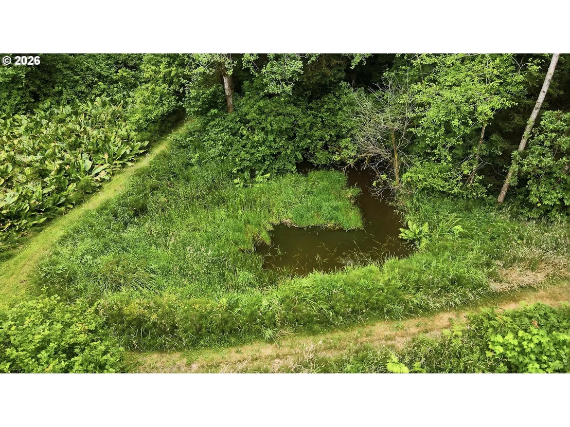 Photo of 61370 OLD WAGON RD