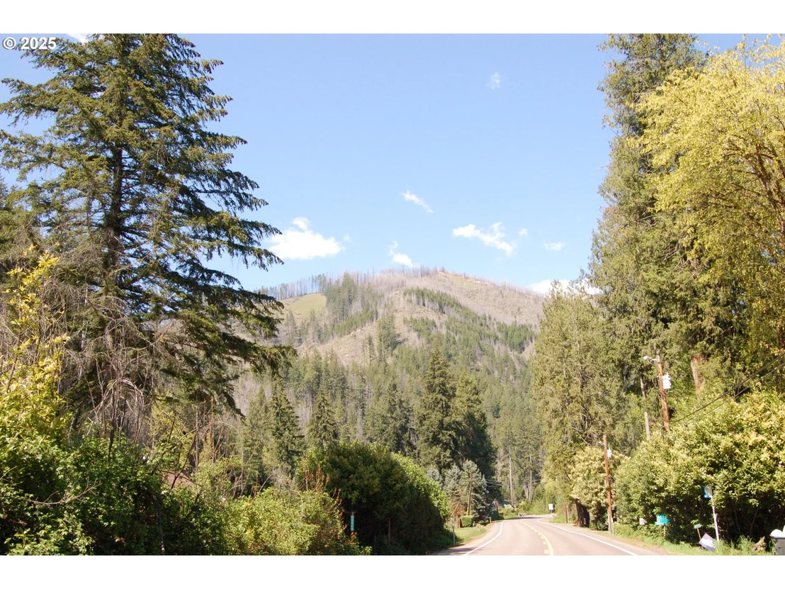 Photo of 49545 MCKENZIE HWY