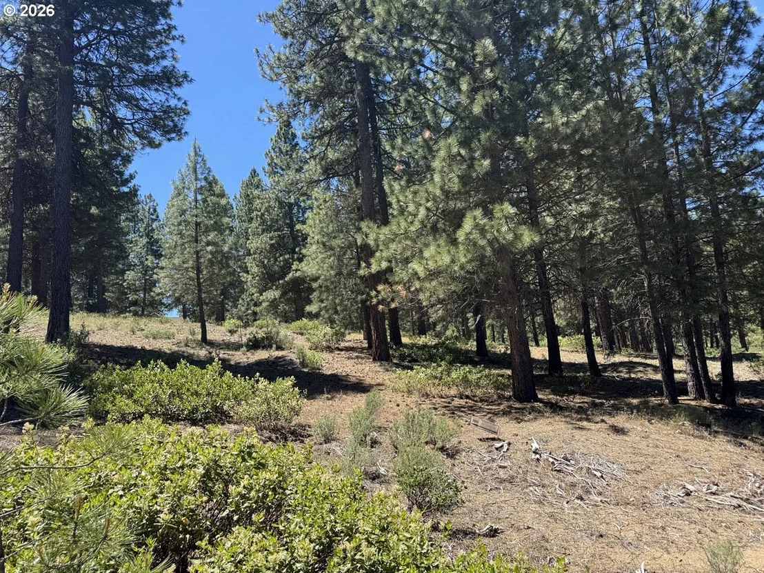 Photo of Unit 22 at Incline DR