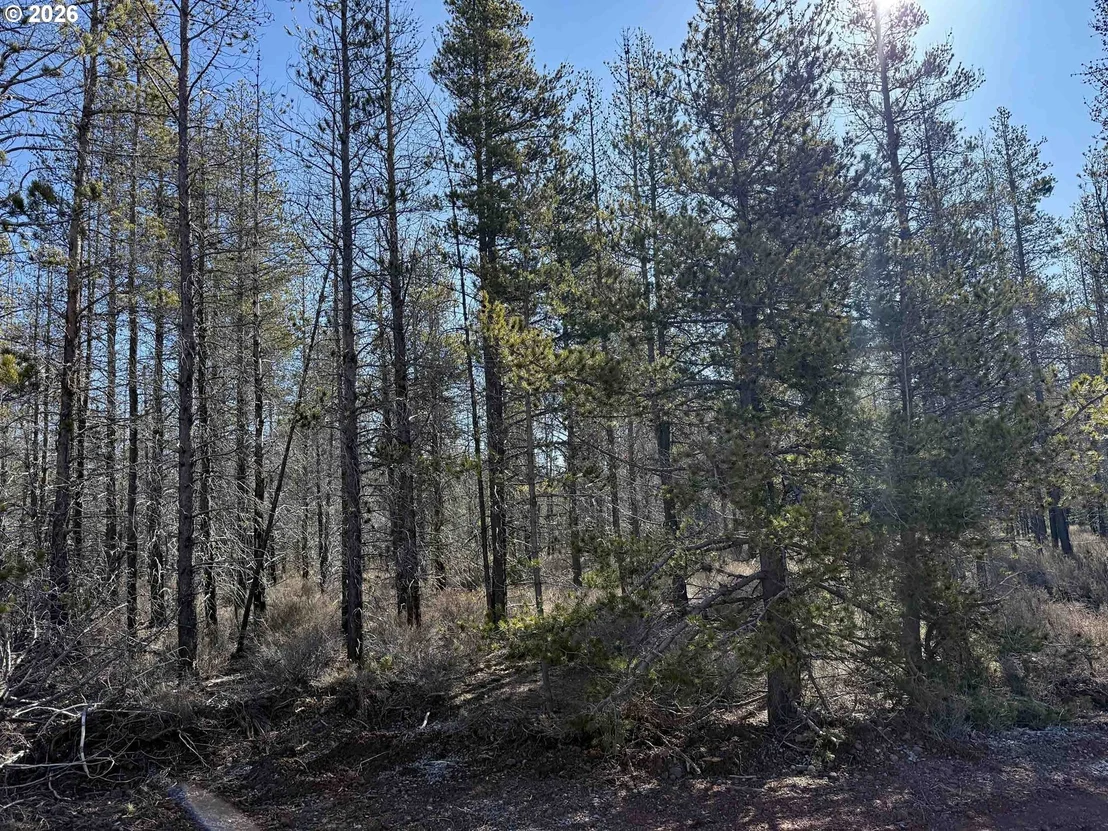 Photo of Unit 11 at Scott View Drive