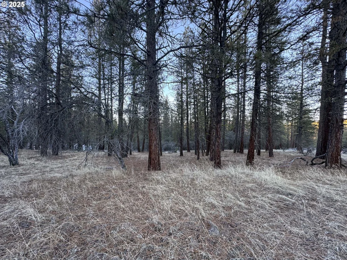 Photo of Unit LOT7 at Bobcat CIR