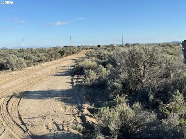 Photo of Unit 3000 at Bark Loop