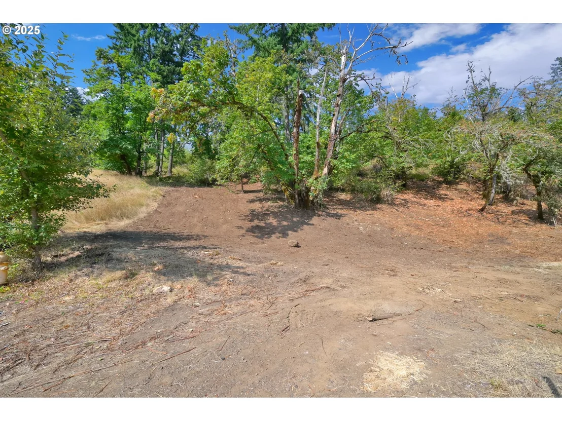 Photo of Forest Ridge