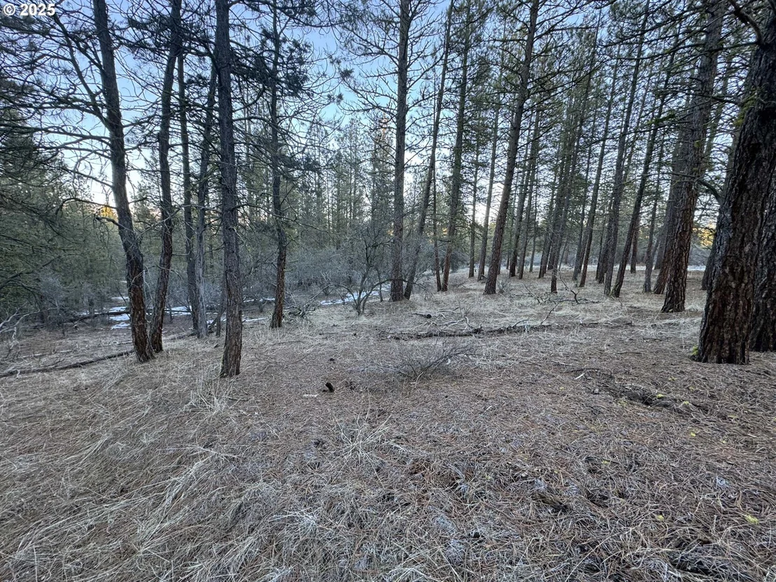 Photo of Unit LOT7 at Bobcat CIR