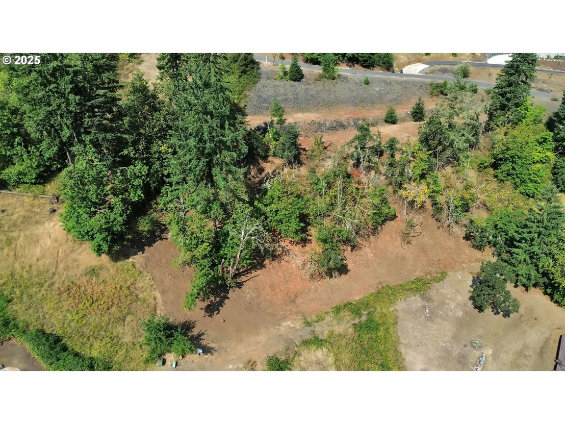 Photo of Forest Ridge Dr