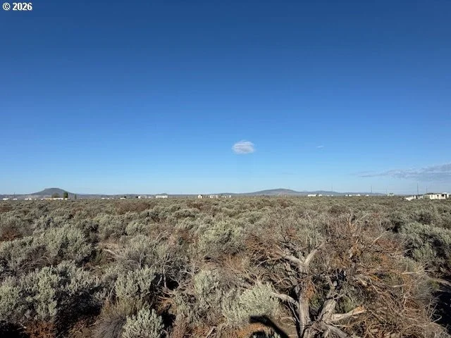 Photo of Unit 3000 at Bark Loop