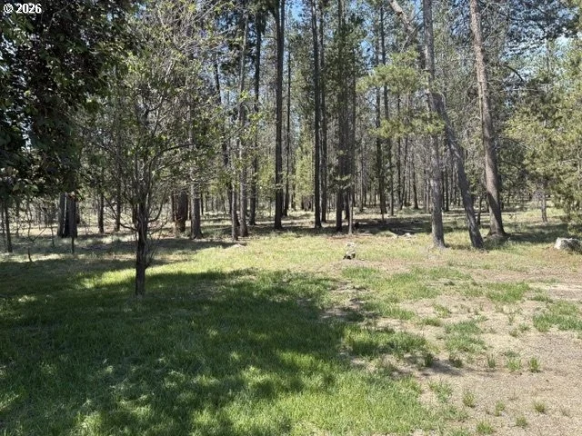 Photo of 149935 KURTZ RD
