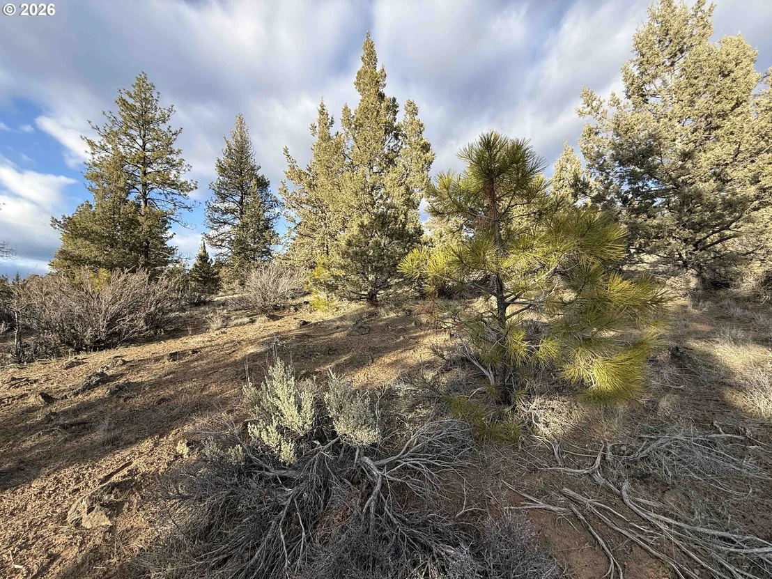 Photo of Unit 35 at Canvasback DR