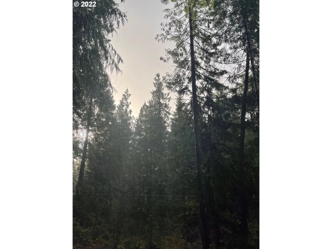 Photo of Unit 05600 at LEVAGE DR