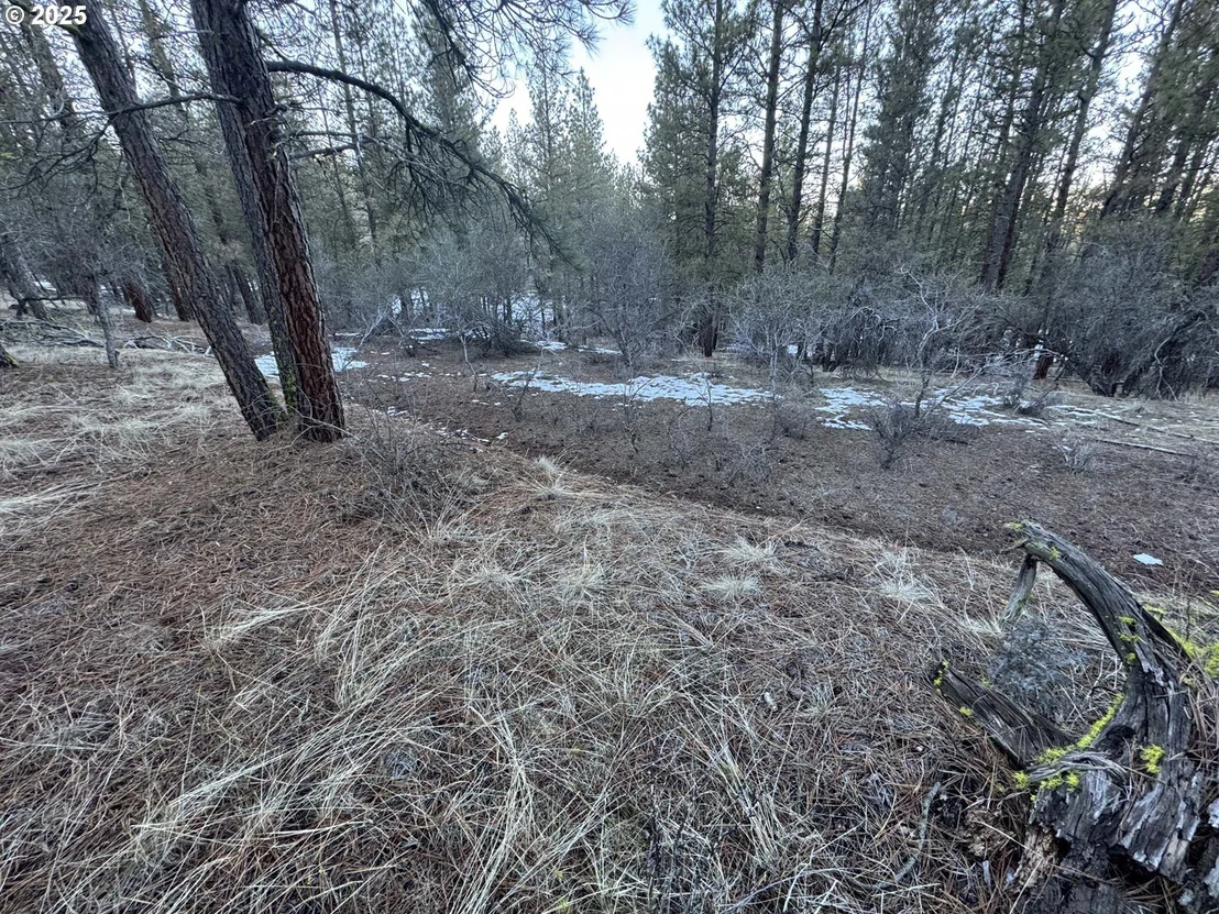 Photo of Unit LOT7 at Bobcat CIR