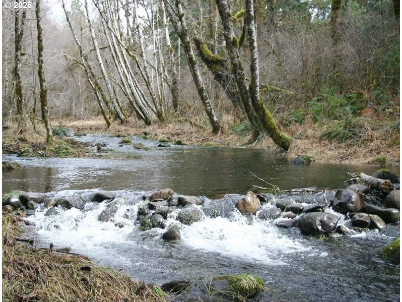 Photo of 55406 DELTA RD