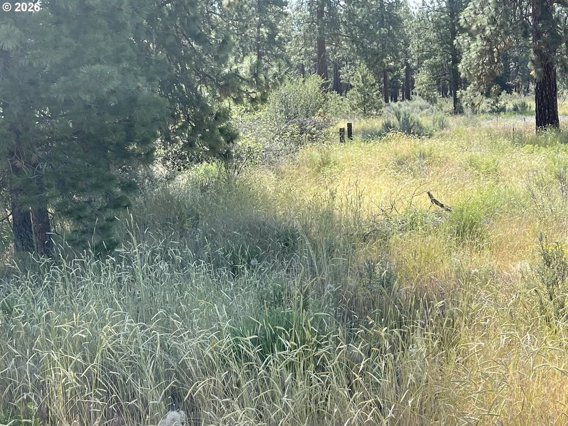 Photo of Unit 100 at S. Chiloquin Road