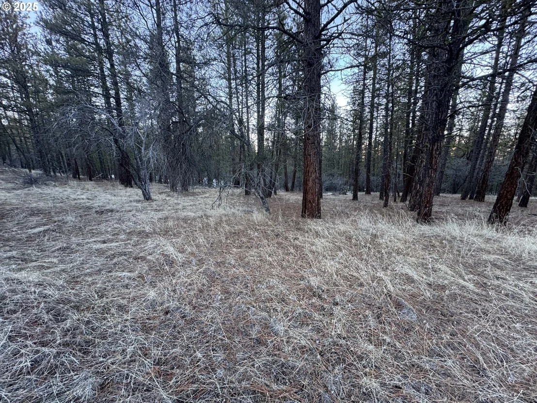 Photo of Unit LOT7 at Bobcat CIR