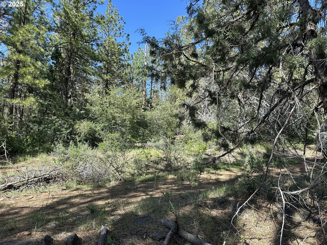 Photo of Unit 2300 at Sandpiper DR